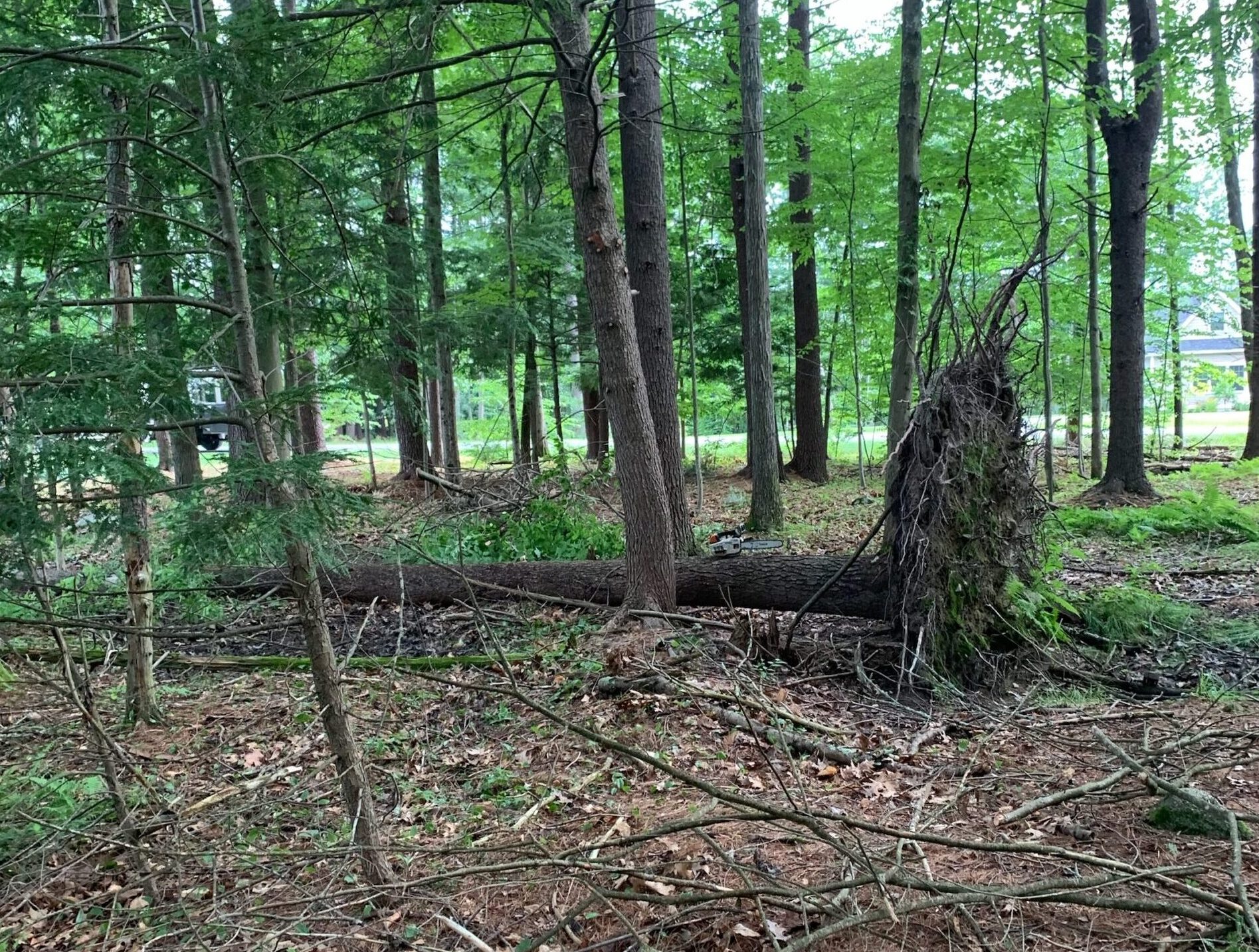 Retail and Wholesale Mulch in North Hampton, NH
